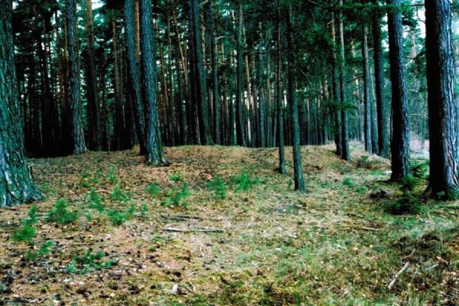 Les Vrubice: Archeologický poklad ukrytý v zemi