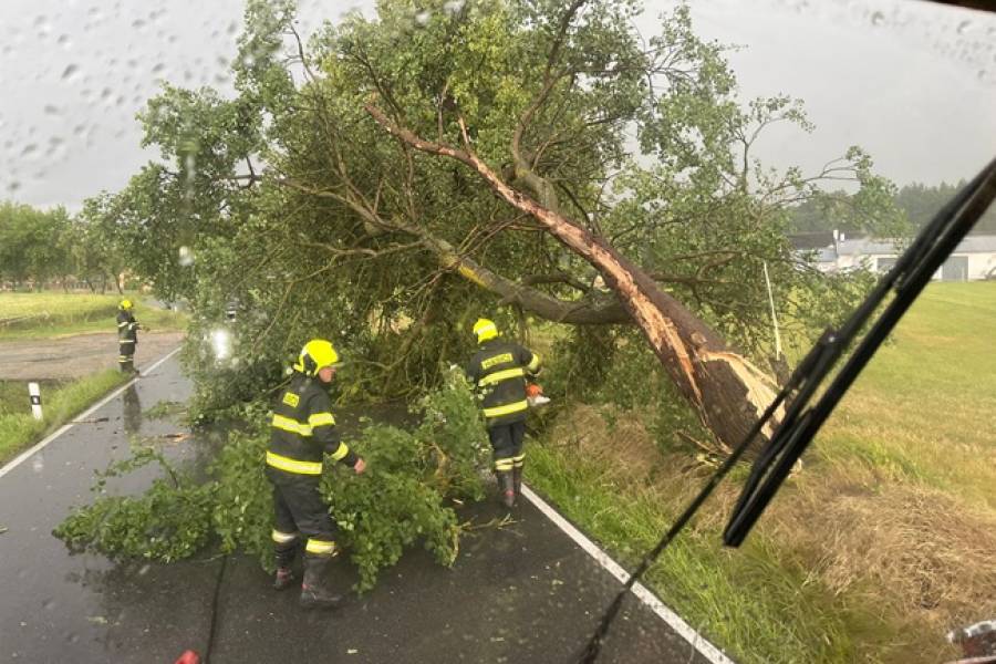 Padlé stromy po přívalovém dešti. Hasiči měli plné ruce práce